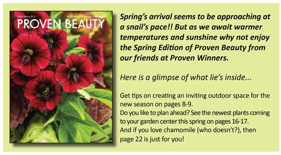 Spring-Proven-Beauty